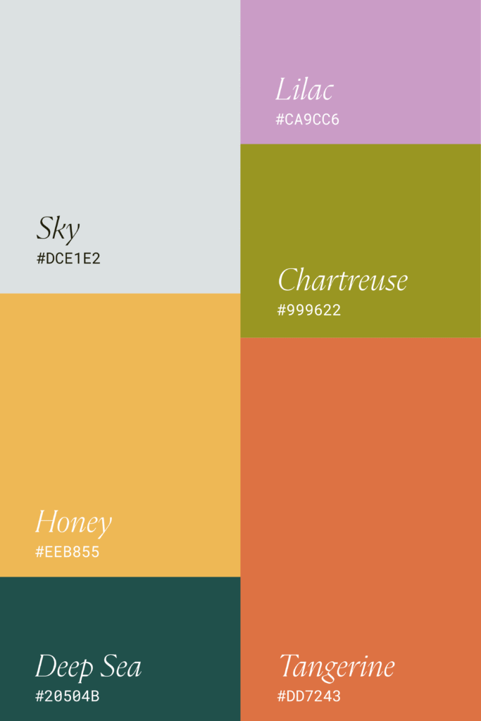 Colors For Photography Logo - color palette for bright and joyful brands